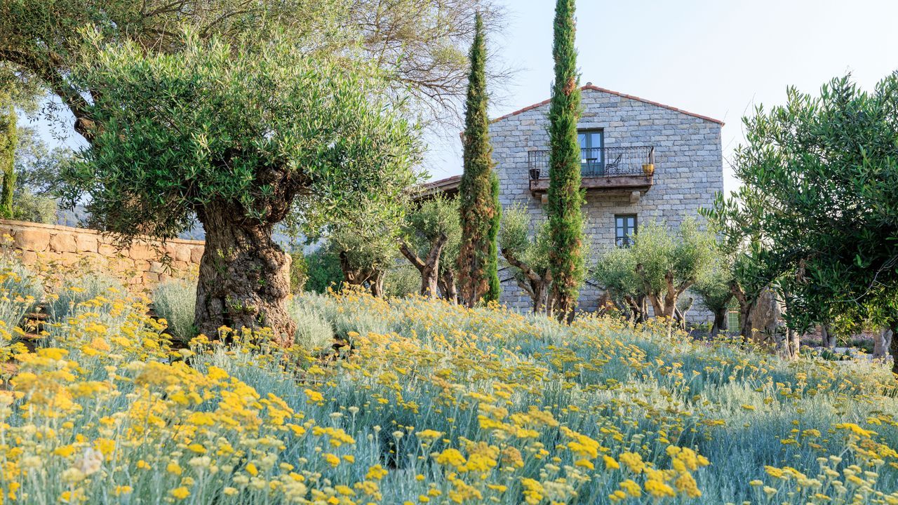 Corsica's A Mandria di Murtoli Unveils New Farm Hotel