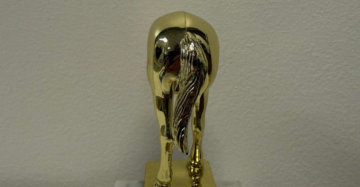 Elon Musk's 'Jackass' Trophy Emerges in Court