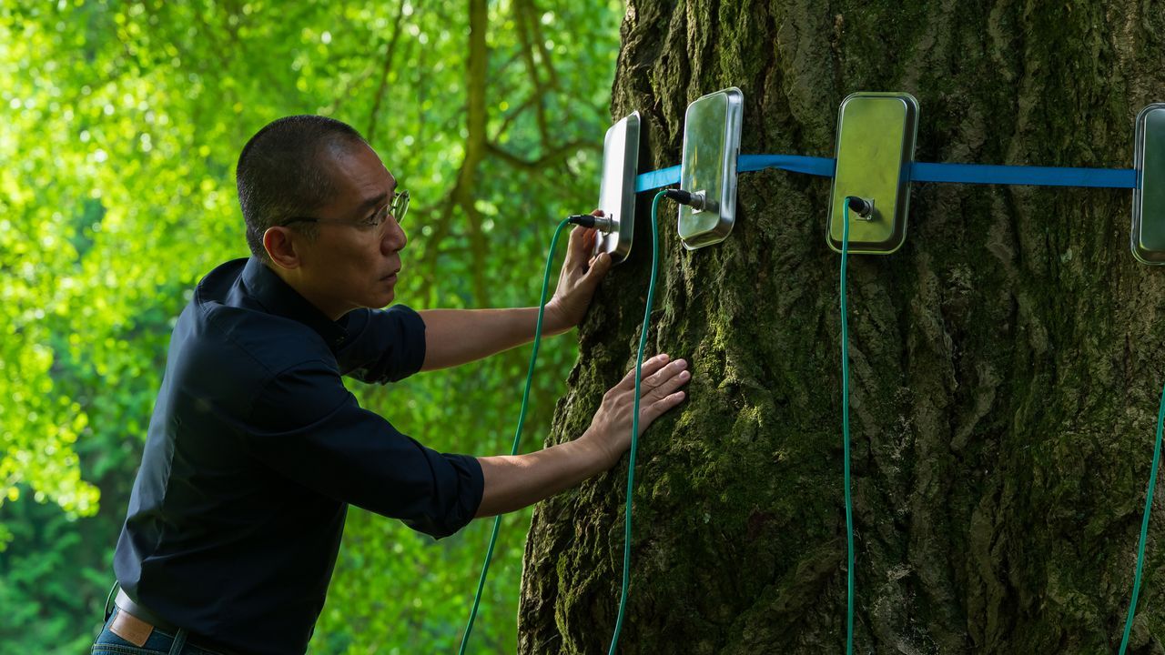 Tony Leung Embraces Cinematic Loneliness
