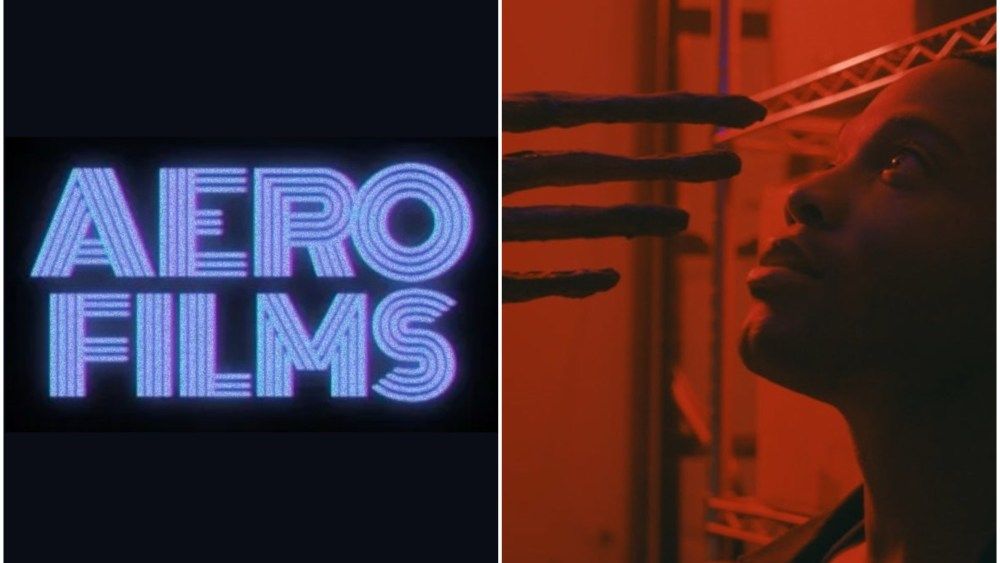 Aero Films Debuts with Steve Pink's 'Terrestrial'