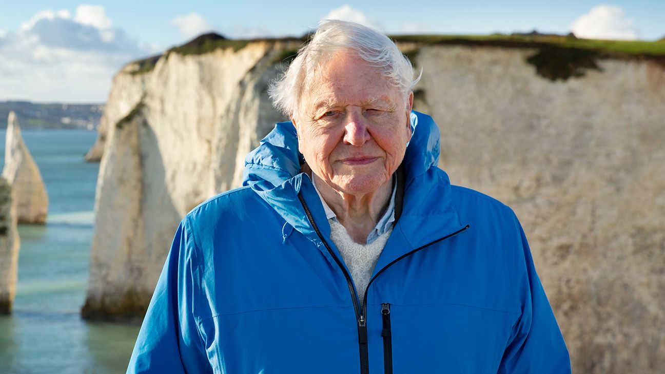 David Attenborough's Emmy Prospects at 100